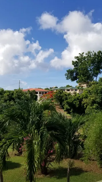 Backyard Breezes - Image 1
