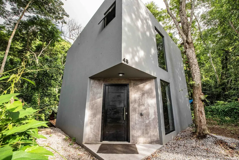 Monkey Lodge - Forest House - Image 1