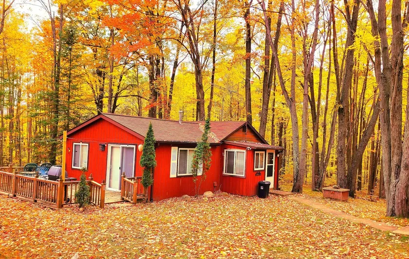 Lucky Bear Lodge. Secluded Cabin in the Woods, Beach access. Pet friendly  - Image 1