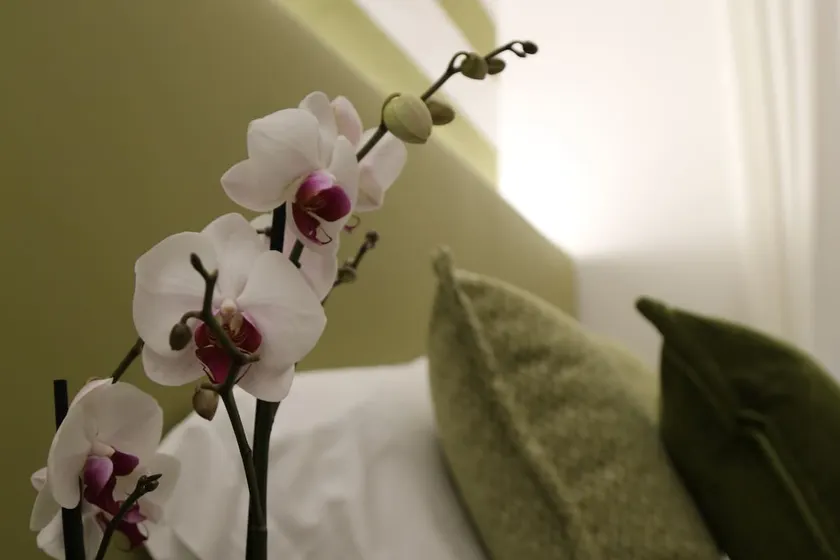 Elegant apartment - Il Boito - Image 1
