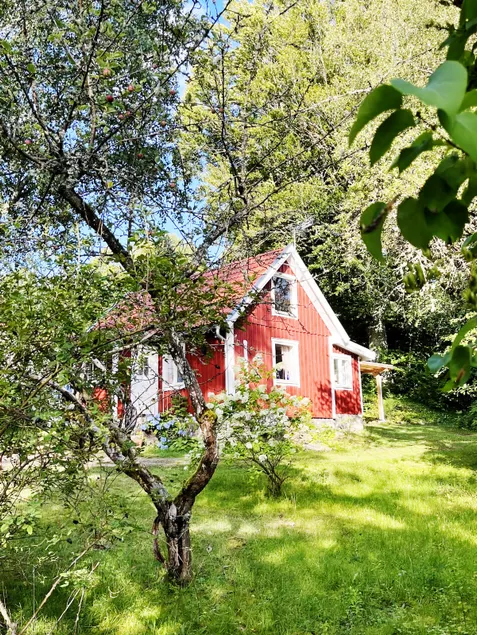 Nice cottage, incl. electricity, water, bicycle, boat. - Image 1