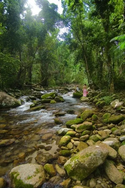 Cairns Rainforest Hideaway - Image 1