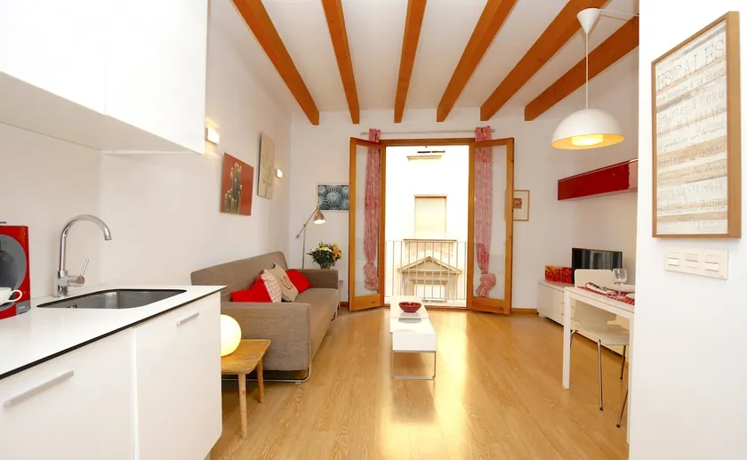 Sant Miquel Homes Penthouse - Image 1