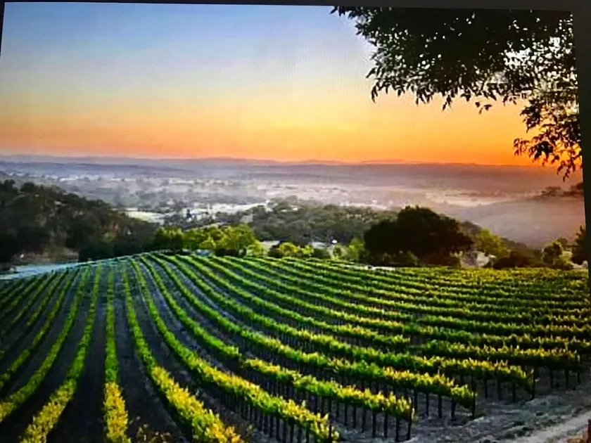 Magnolia Vineyard Winemakers Cottage - Image 1