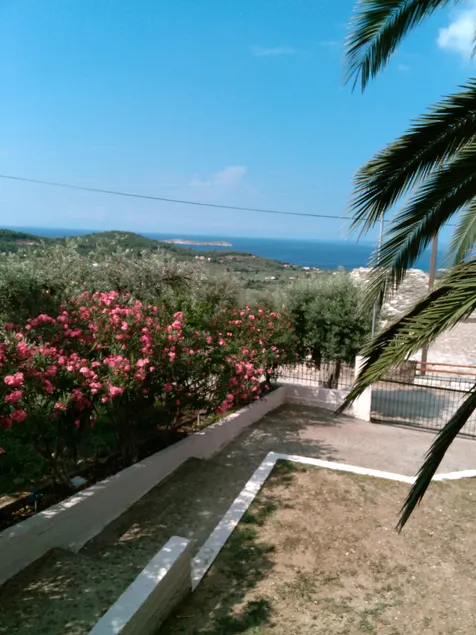 Palm Villa - Image 1