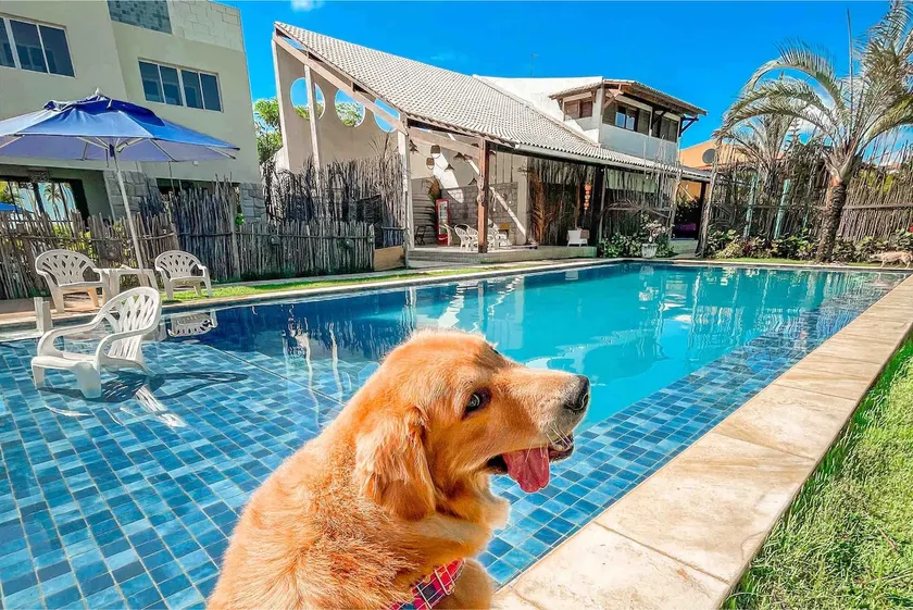 Paiva Suite 4, the most reserved! - Image 1