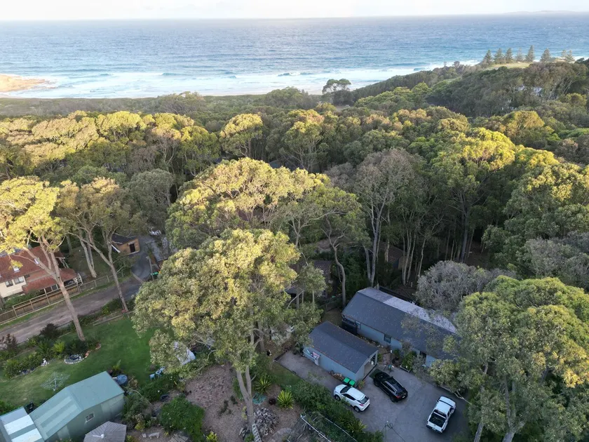 From the bush to the beach. - Image 1
