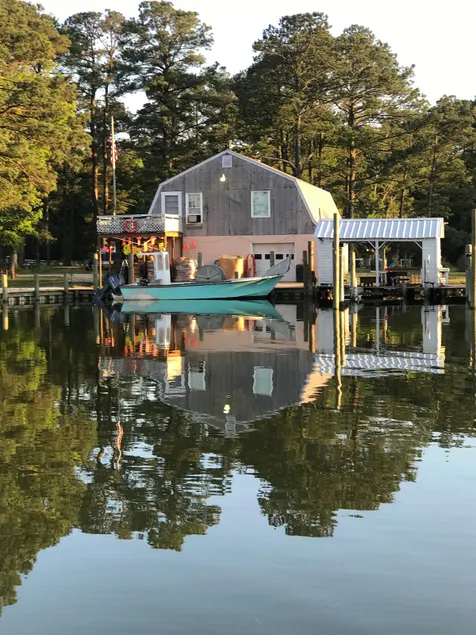 The Fish House - Image 1
