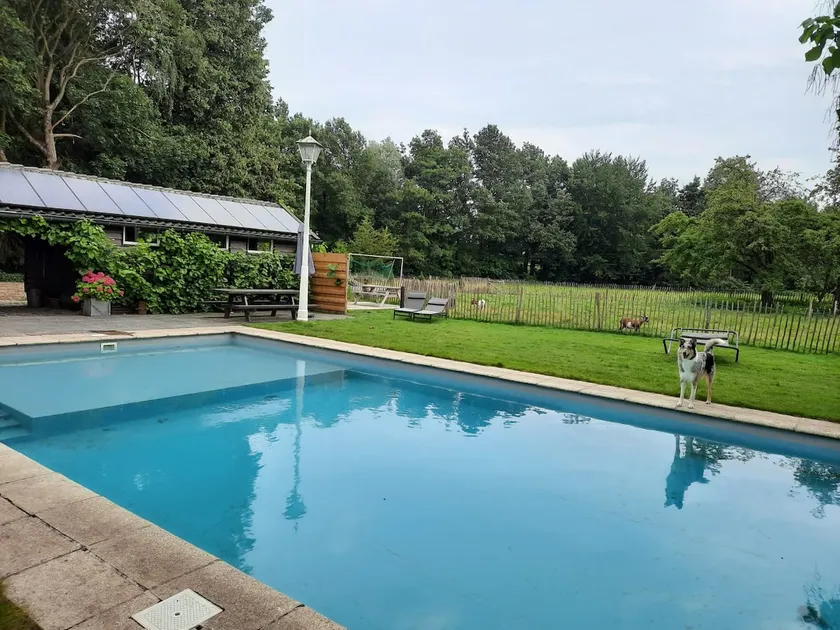 Weizicht - Country cottage with swimming pool and sauna - Image 1