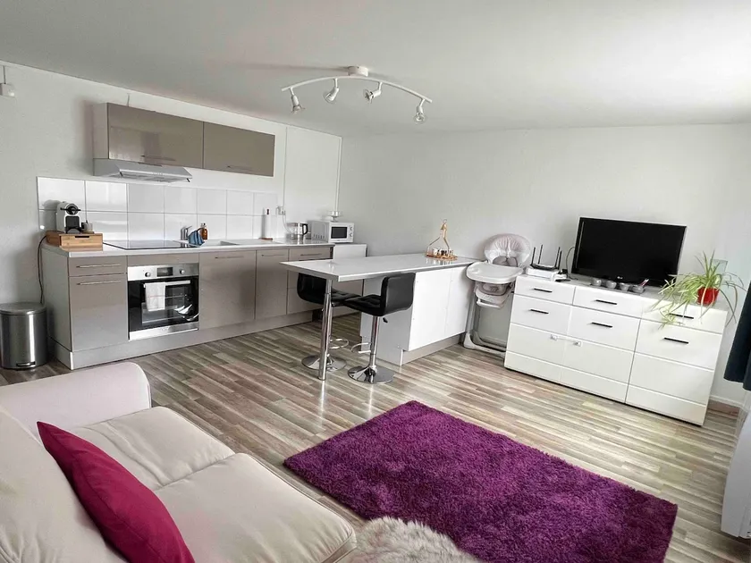House near Basel/Mulhouse airport - Image 1
