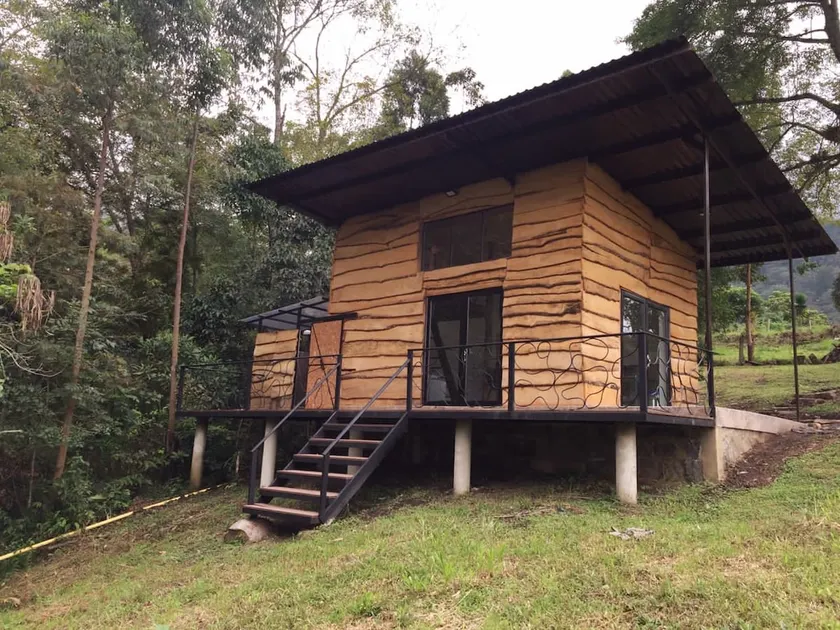 Cabin in the woods. Birds, nature and rest - Image 1