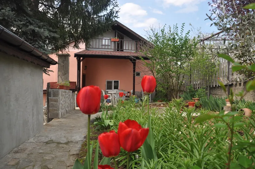 Holiday Home Vilata - Image 1