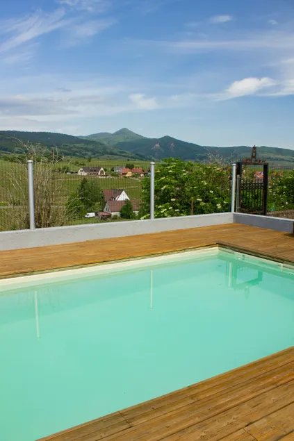 Le Zell: Haus im Weinberg - Garten und privater Pool - Image 1