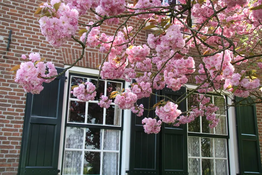 Guest suite B&B 't Wilgenroosje - Image 1