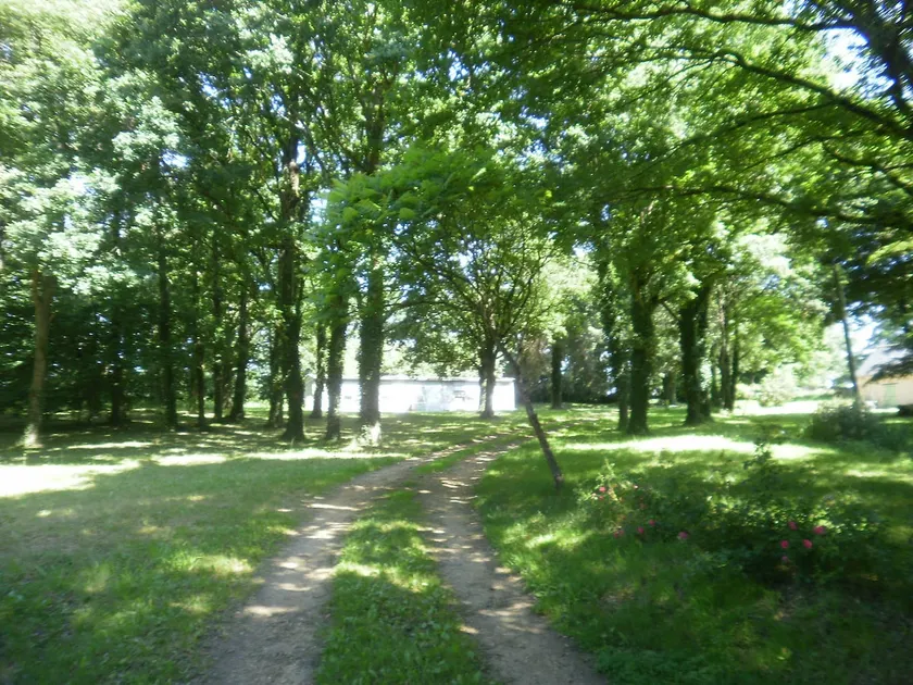 wooded location - Image 1