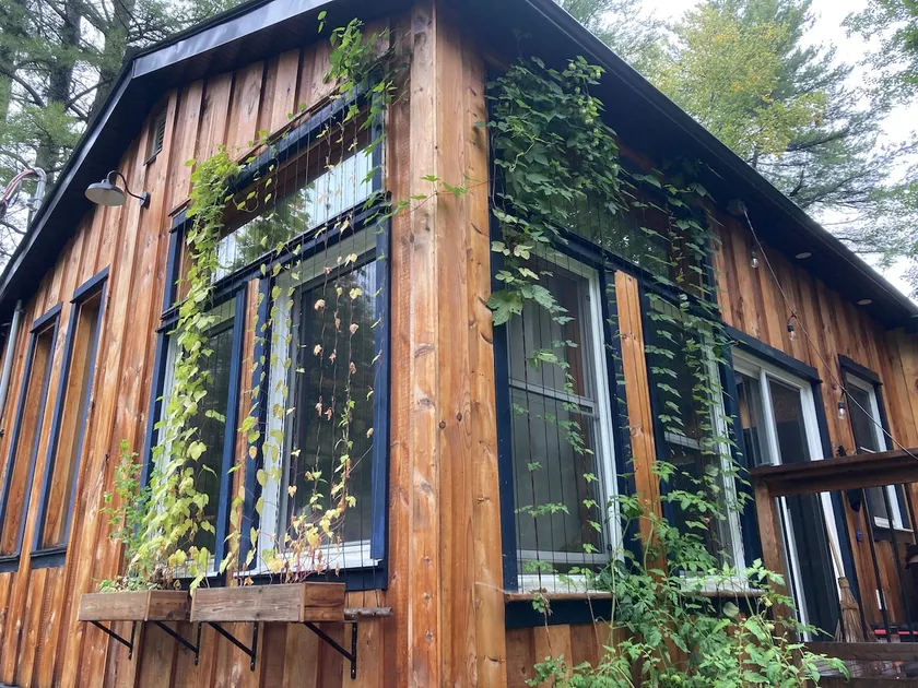 Place: Bright and Cozy Woodland Retreat - Image 1