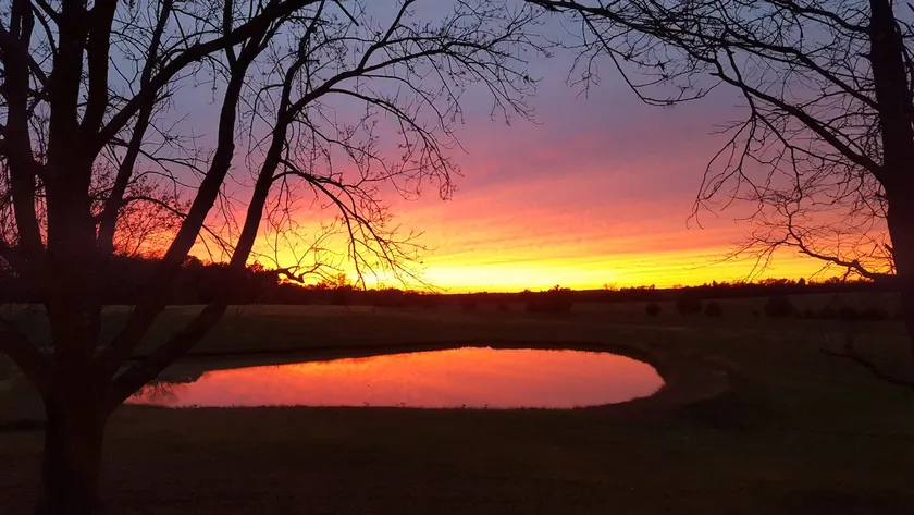 Restful get away on 55 acres - Image 1