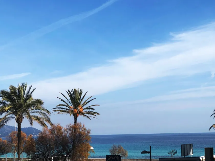 Ocean views and 50 meters from Poma Rosa beach - Image 1