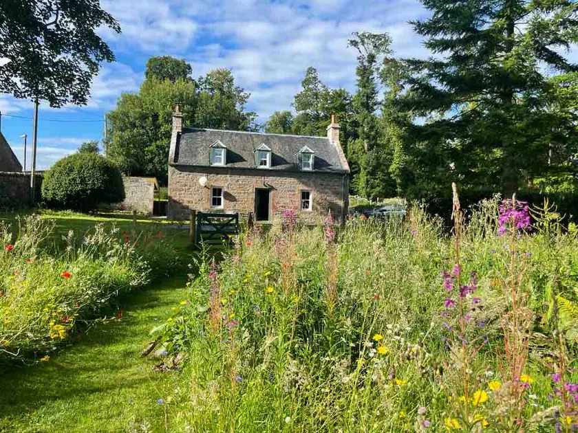 Cosy Garden Cottage w/ hot tub, castle & sea views - Image 1