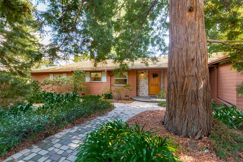 Mid-Century Elegance Beneath the Redwoods - Image 1