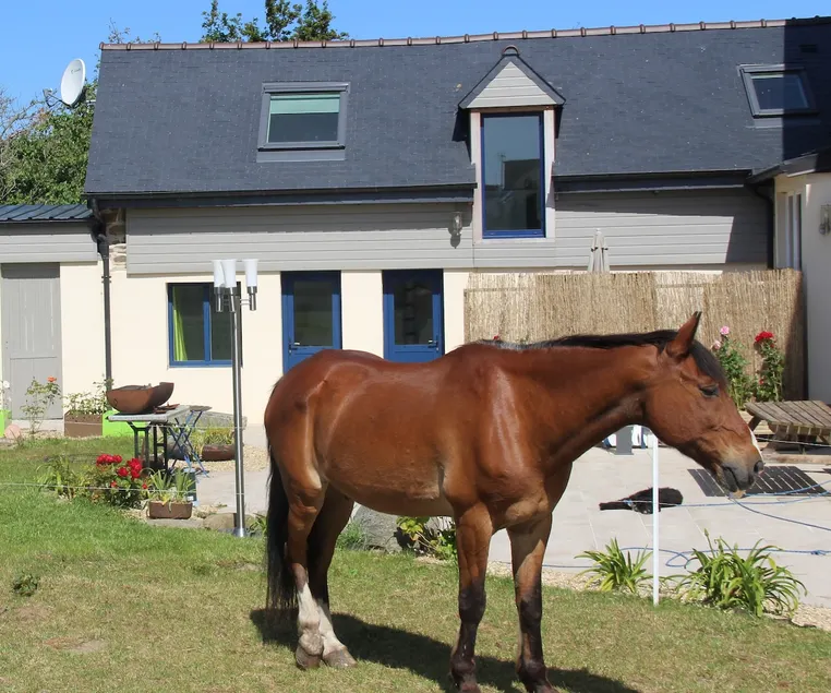 LE TRISKEL - for 4 people, close to the beach - Image 1