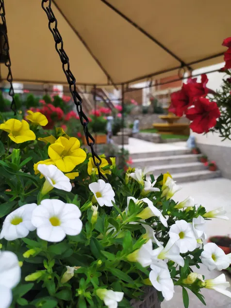 Apartment "JONA " - Image 1