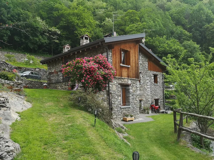 Le Rive in the woods - Image 1