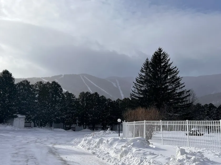 TWO BEDROOM RENOVATED MOUNTAIN VIEW CONDO - Image 1