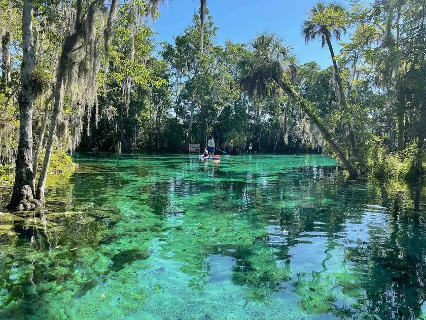 Paddle board/Kayak included@Chazzdoorway - Image 1