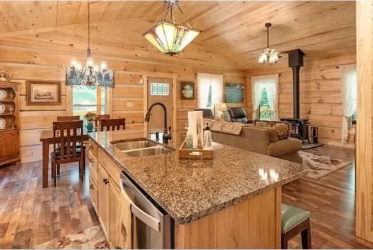 Dog Friendly! Smoky Mountain Serenity. - Image 1