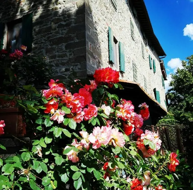 Podere I Rovai-apt IL RIFUGIO-herrliche Aussicht Toskana - Image 1