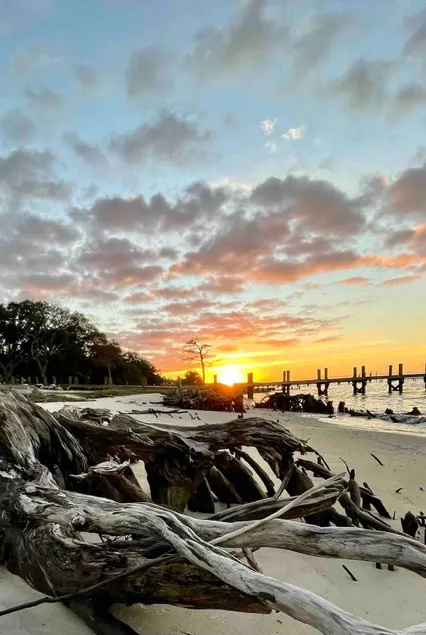 Majestic Oaks Beach Retreat - Image 1