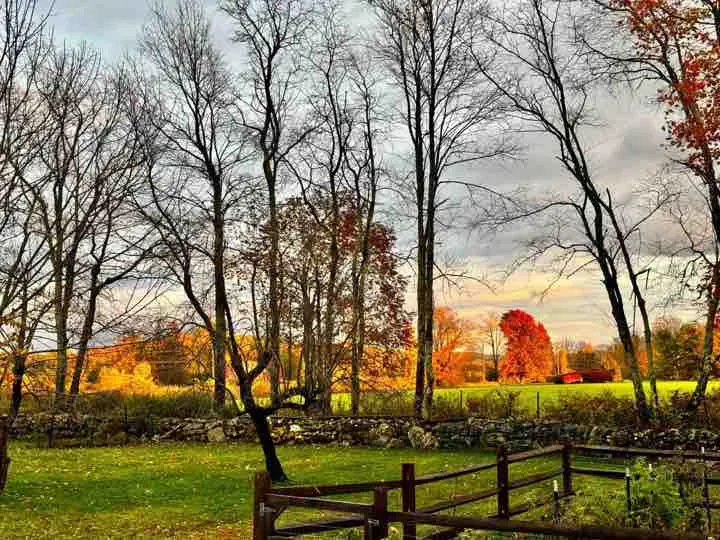 Foxfire Hill: A Bit of Luxury in the Countryside - Image 1