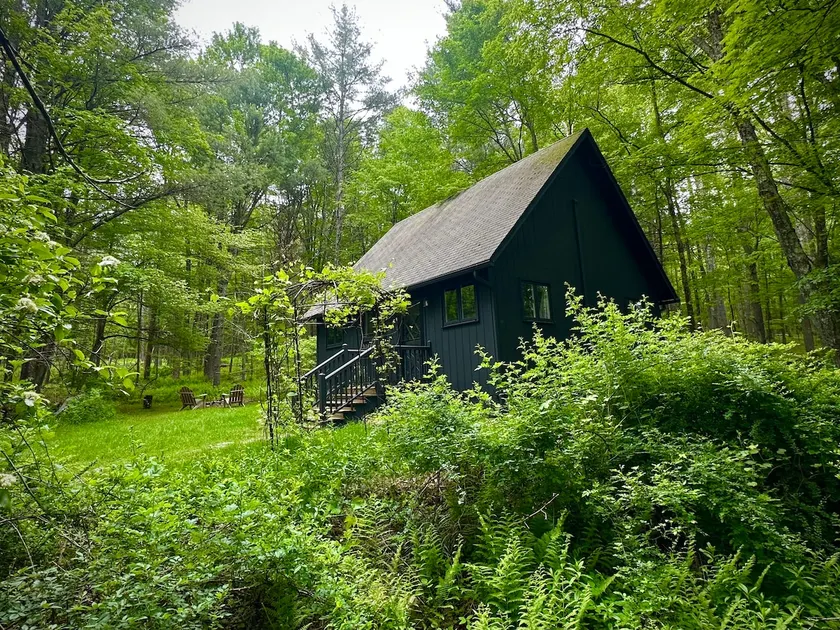 Forest Cabin | Fire Pit, Pond, Pickleball Court - Image 1