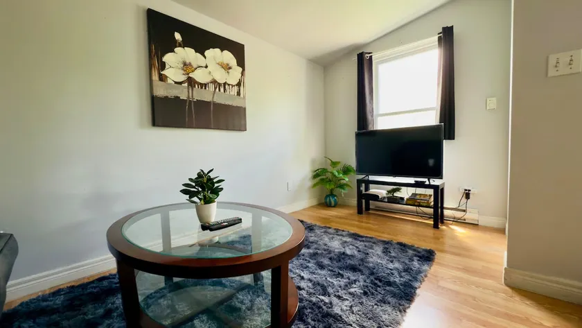Affordable 1BHK close to Riverside, Casino & USA. - Image 1