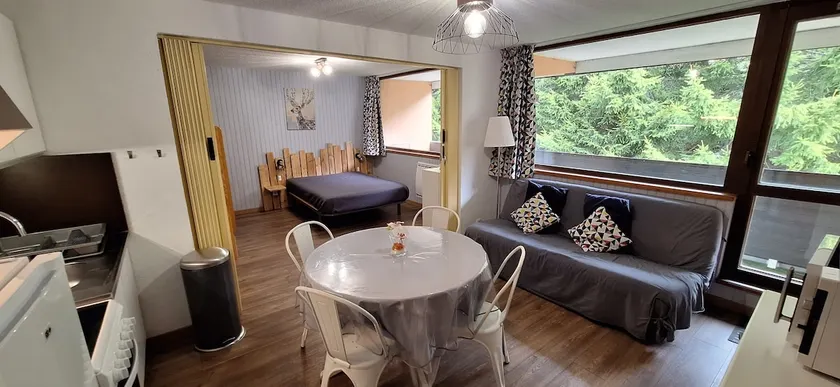 2-bedroom apartment with piste view 5 minutes from center - Image 1