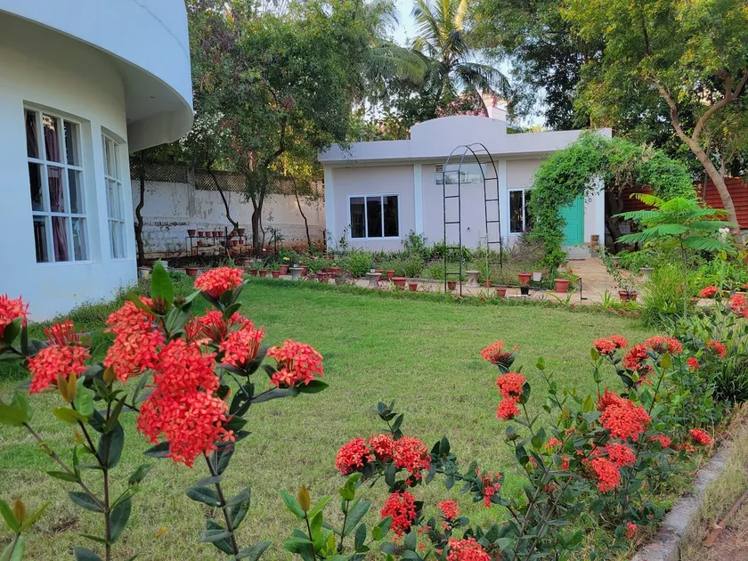 Whiskers Nook | Peaceful Garden Getaway - Image 1