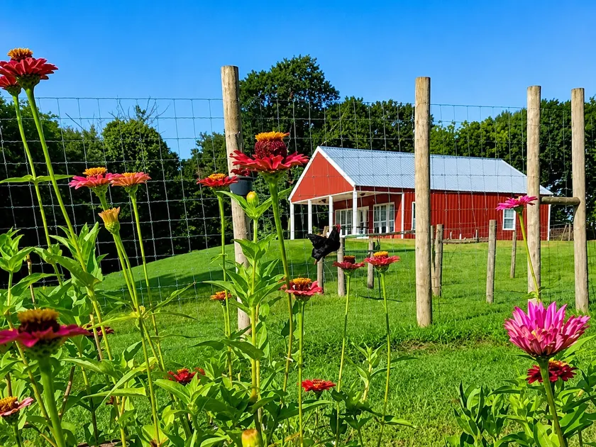 Red Barn Retreat (Stay 3 nights + for discount) - Image 1
