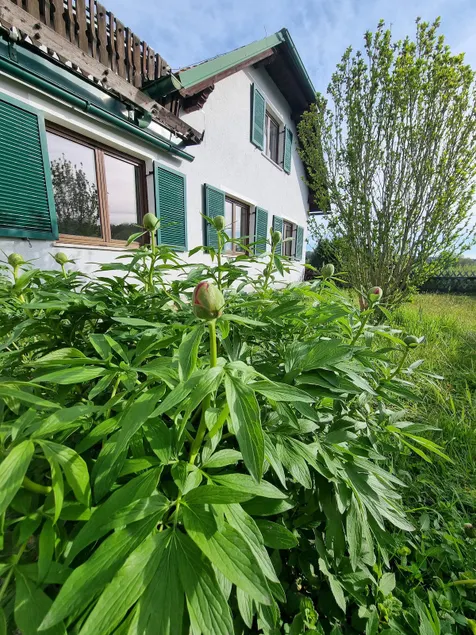 A peaceful oasis in the countryside for the whole family - Image 1