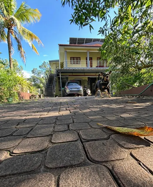 The Nest Nature Retreat - Image 1