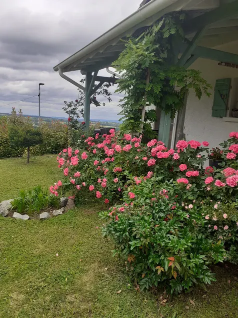 Cozy, spacious, bright studio with panoramic views - Image 1