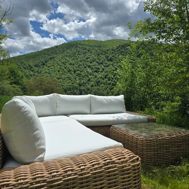 The Panoramic Nest - Elegance and Nature - Image 1
