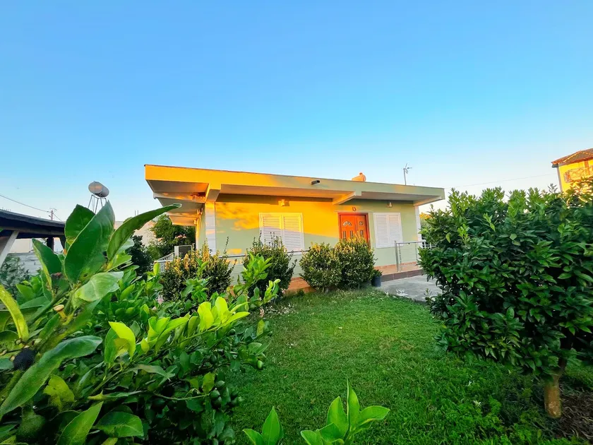 OLIVE Home - Image 1