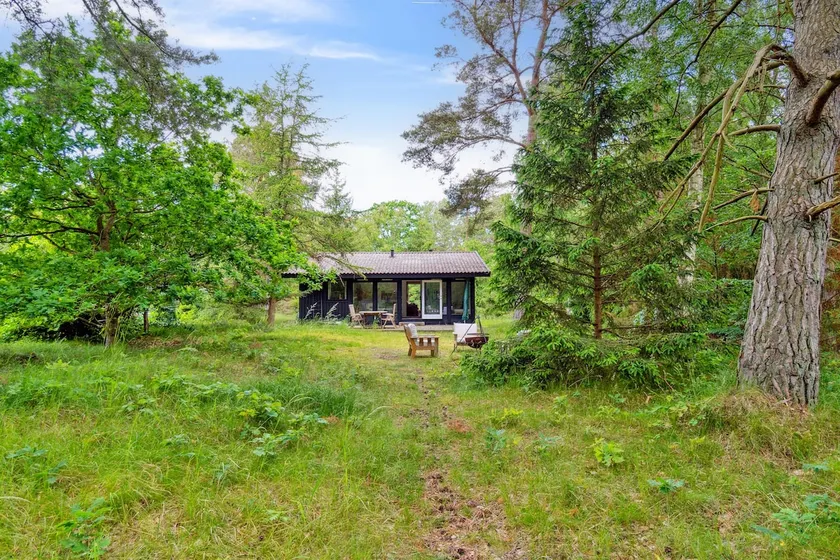 Cozy cottage in the woods - Image 1