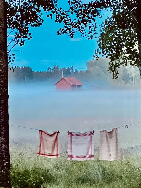 Villa San Juan: Forest and Nearby Baltic Sea” - Image 1