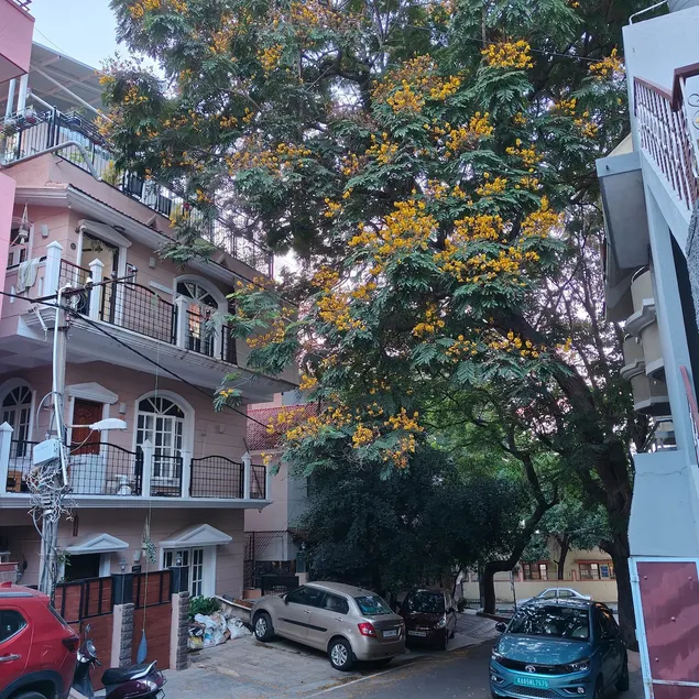 Ravi Villa2 - Image 1
