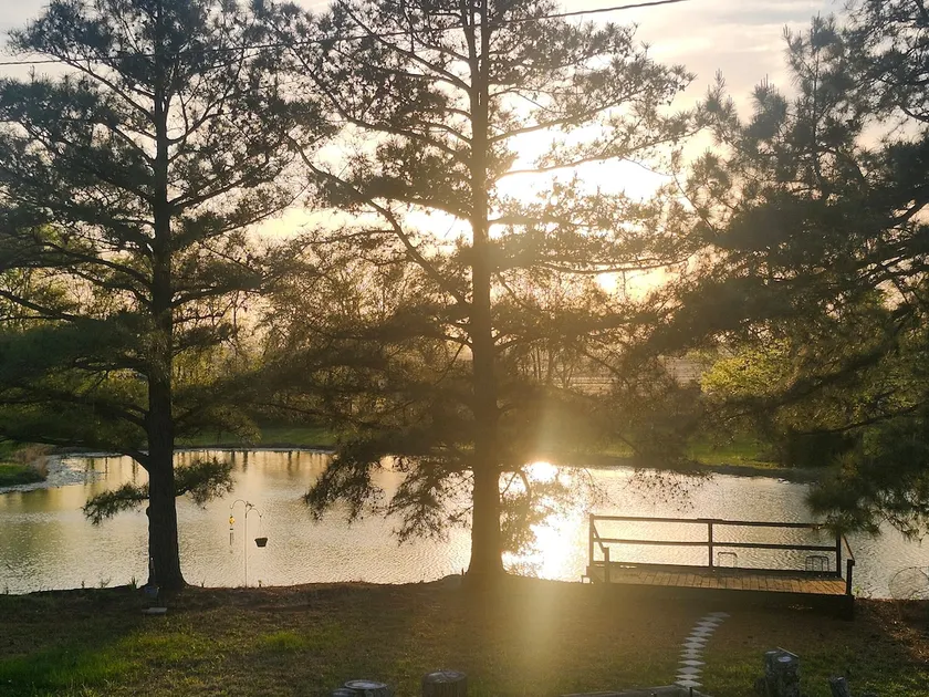 Peaceful Blessings - Image 1