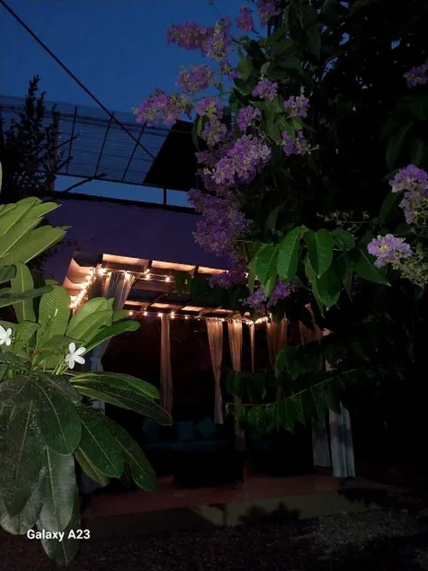 Nani S House - Warmth & Comfort - Image 1