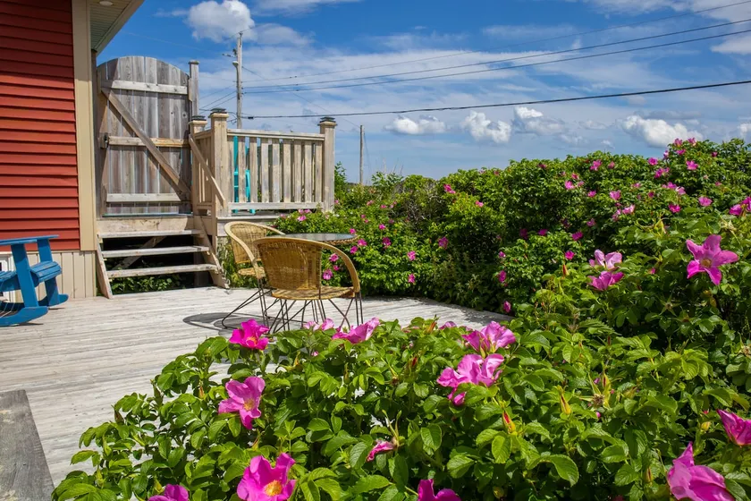 Twillingate Private Waterfront Suite w/ Patio - Image 1