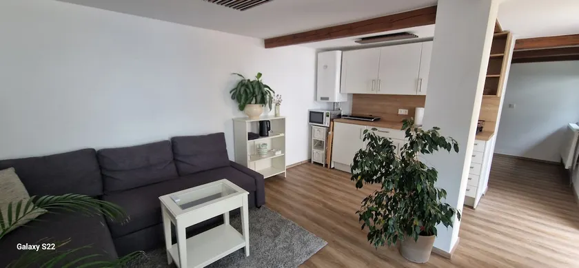 Charming + newly renovated house near the airport - Image 1